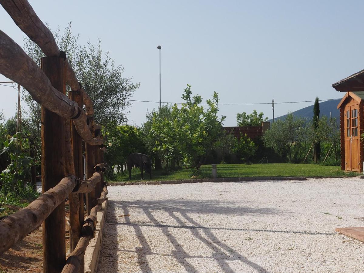La Casa Di Samarcanda Uliveto Terme エクステリア 写真