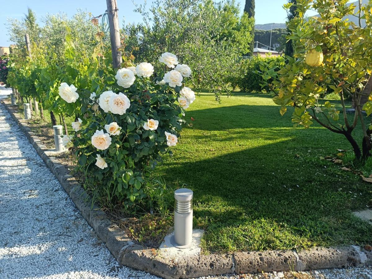 La Casa Di Samarcanda Uliveto Terme エクステリア 写真